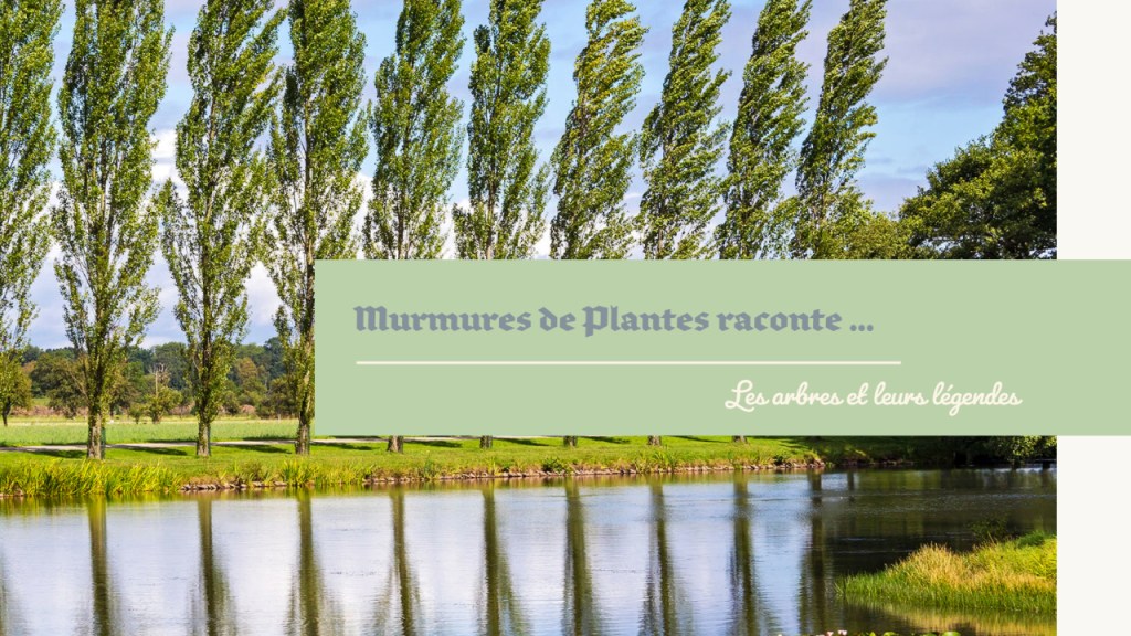 La légende du Peuplier